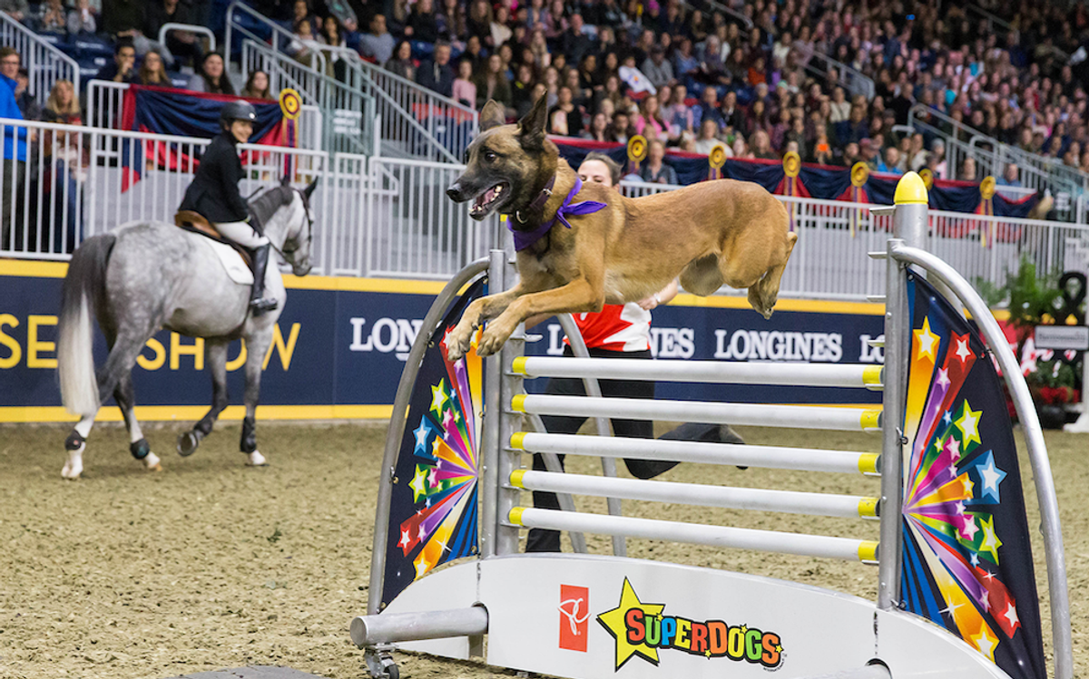 What to do in Toronto November 4-6