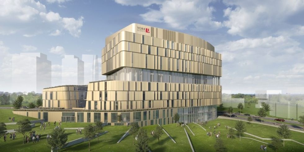 York University