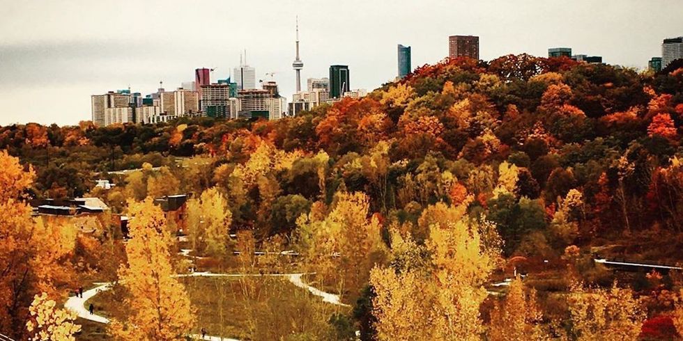 Toronto's Fantastic Fall Foliage in Photos: The Don Valley